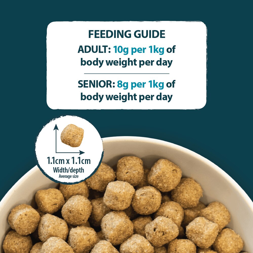 Burns Sensitive Pork & Potato Dry Dog Food - 2kg