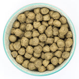 Burns Sensitive Pork & Potato Dry Dog Food - 12kg