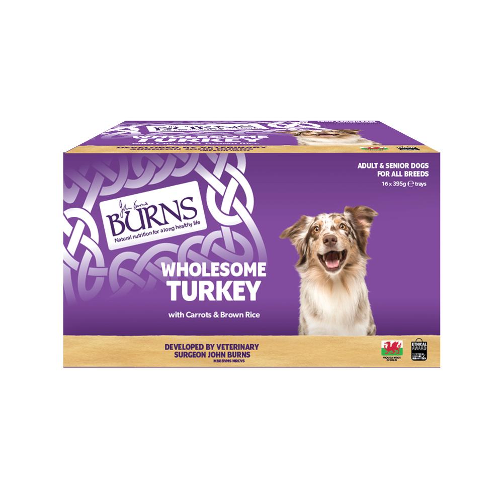Burns Turkey Bumper Box Wet Dog Food Trays - 16 x 395g