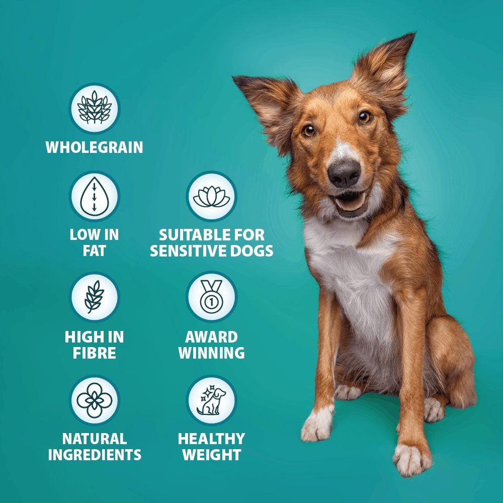 Burns Weight Control Chicken & Oats Dry Dog Food - 6kg