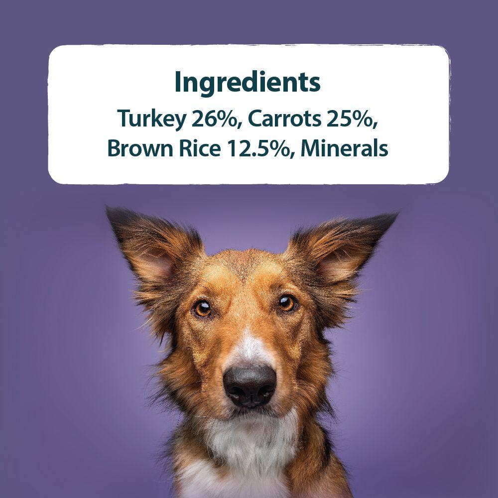 Burns Wholesome Turkey Wet Dog Food Trays - 12 x 150g