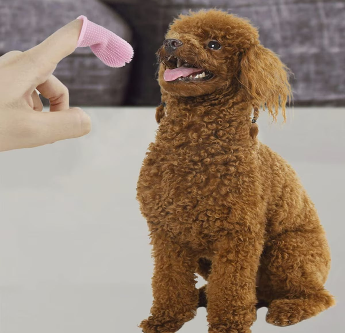 Brushy Buddy