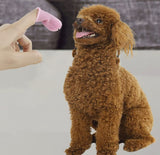 Brushy Buddy