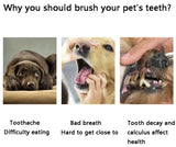 Brushy Buddy