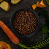 Canagan Grain Free Insect Protein for Adult Dogs - 1.5kg