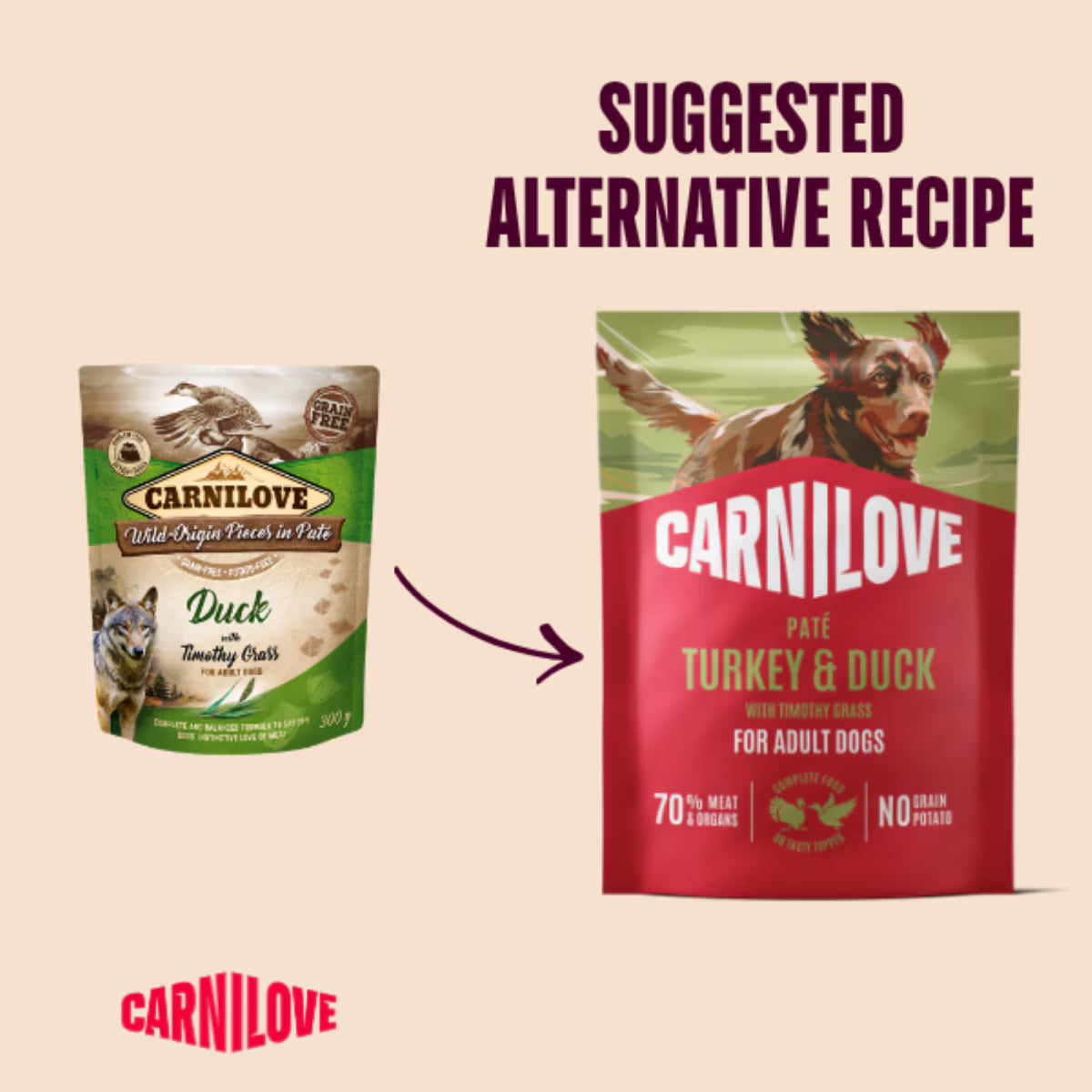 Carnilove Turkey & Duck with Timothy Grass Wet Dog Food Pouches - 12 x 300g