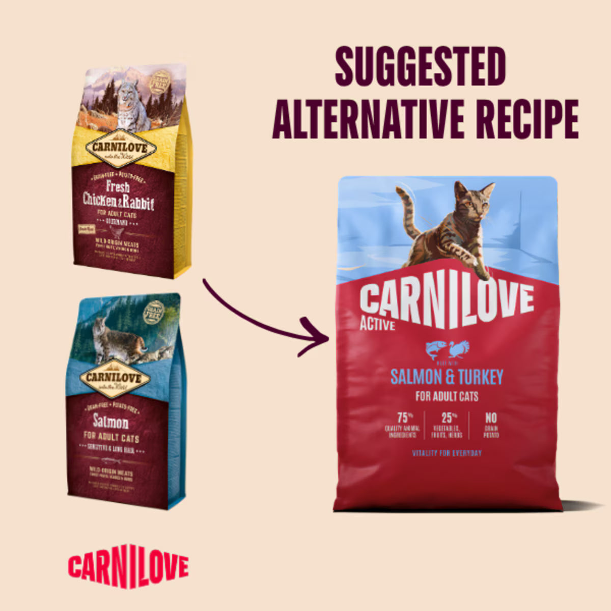 Carnilove Active Salmon & Turkey Adult Dry Cat Food – 2kg