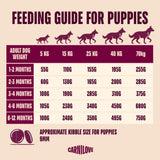Carnilove Active Salmon & Turkey Puppy Dry Dog Food – 1.5kg