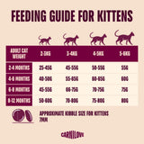 Carnilove Active Salmon & Turkey Dry Kitten Food - 400g