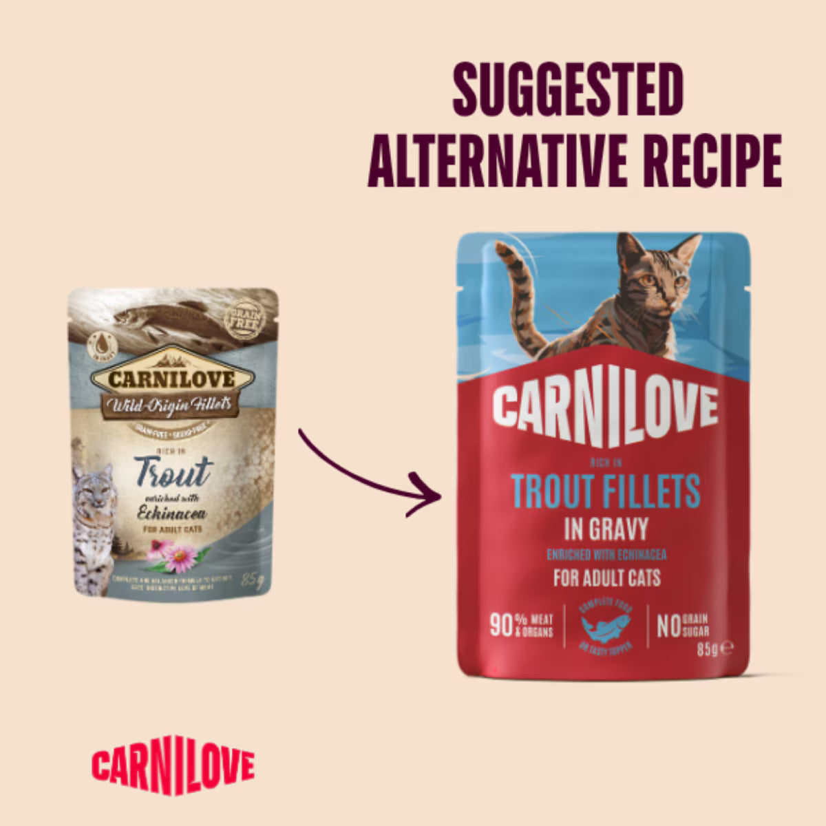 Carnilove Trout Trout with Echinacea in Gravy Adult Wet Cat Food Pouches – 24 x 85g
