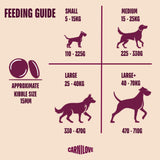 Carnilove True Fresh Beef Adult Dry Dog Food – 4kg