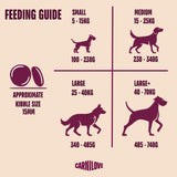 Carnilove True Fresh Fish & Turkey Adult Dry Dog Food – 12kg