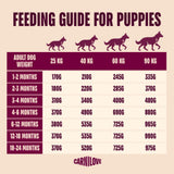 Carnilove True Fresh Duck Junior Large Breed Dry Dog Food - 12kg