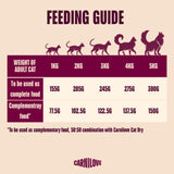 Carnilove Turkey & Salmon Wet Kitten Food Tins - 12 x 100g