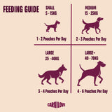 Carnilove Turkey & Venison with Strawberry Leaves Wet Dog Food Pouches - 12 x 300g