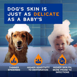 DOUXO Skin & Coat SPA Ultra-Safe Detangling Spray for Dogs - 340ml