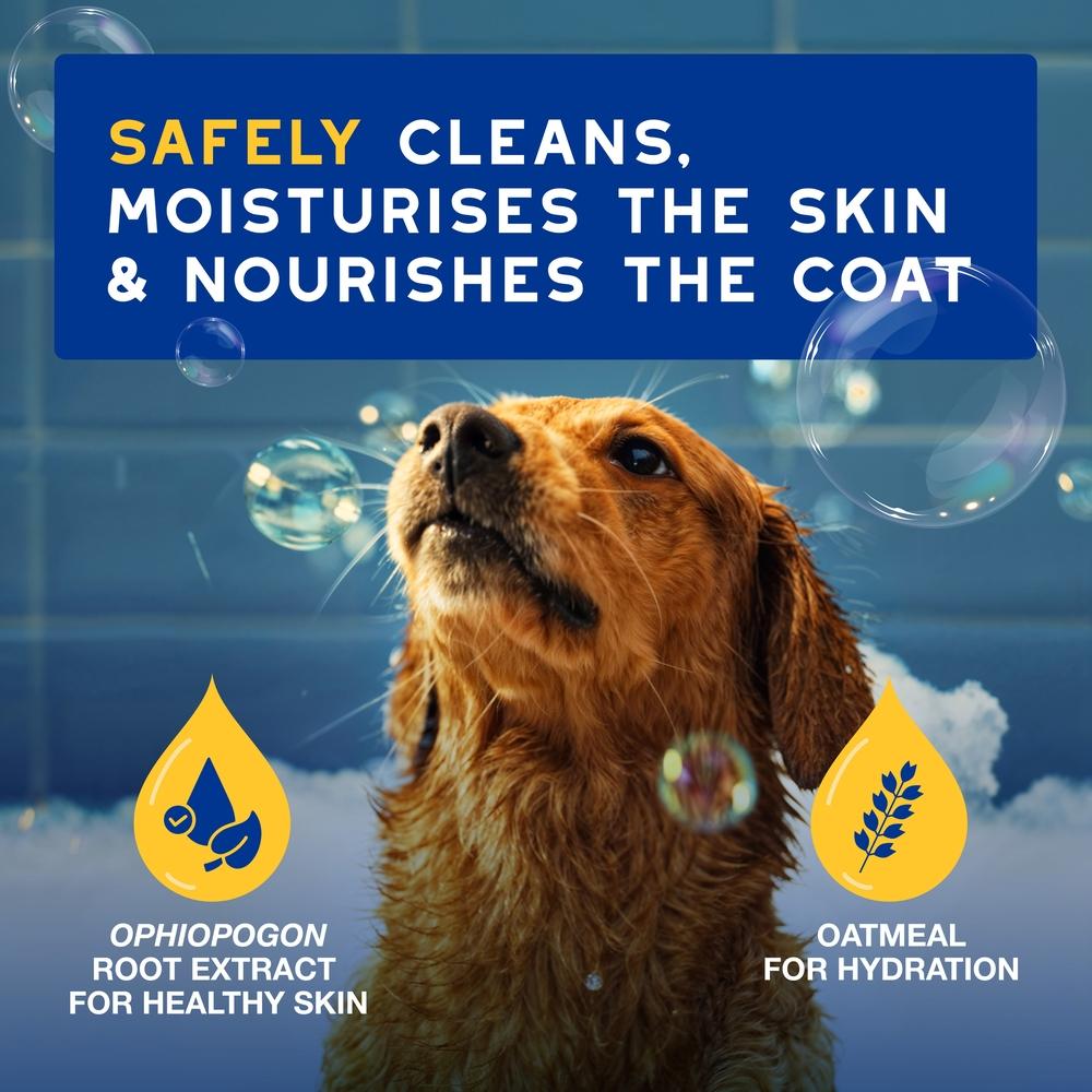 DOUXO Skin & Coat SPA Ultra-Safe Oatmeal Dog Shampoo - 250ml