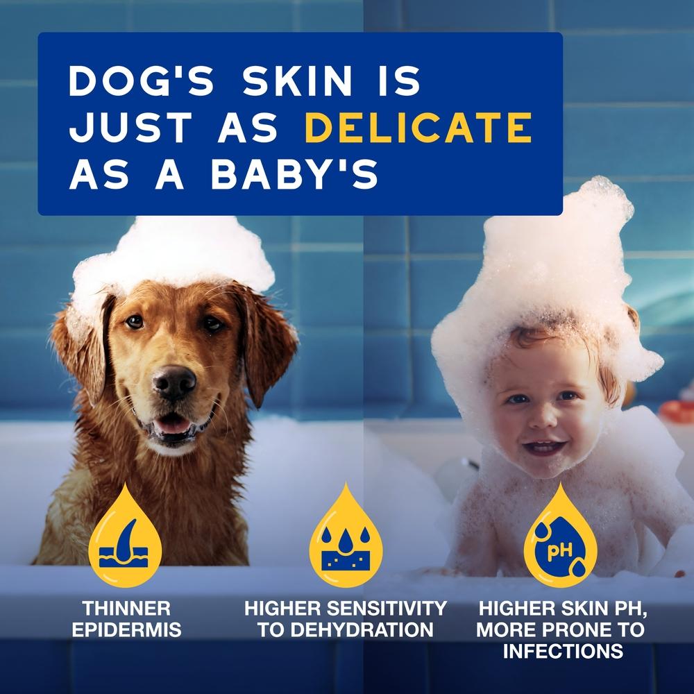 DOUXO Skin & Coat SPA Ultra-Safe Oatmeal Dog Shampoo - 250ml