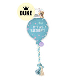 DUKE Birthday Balloon Pet Toy
