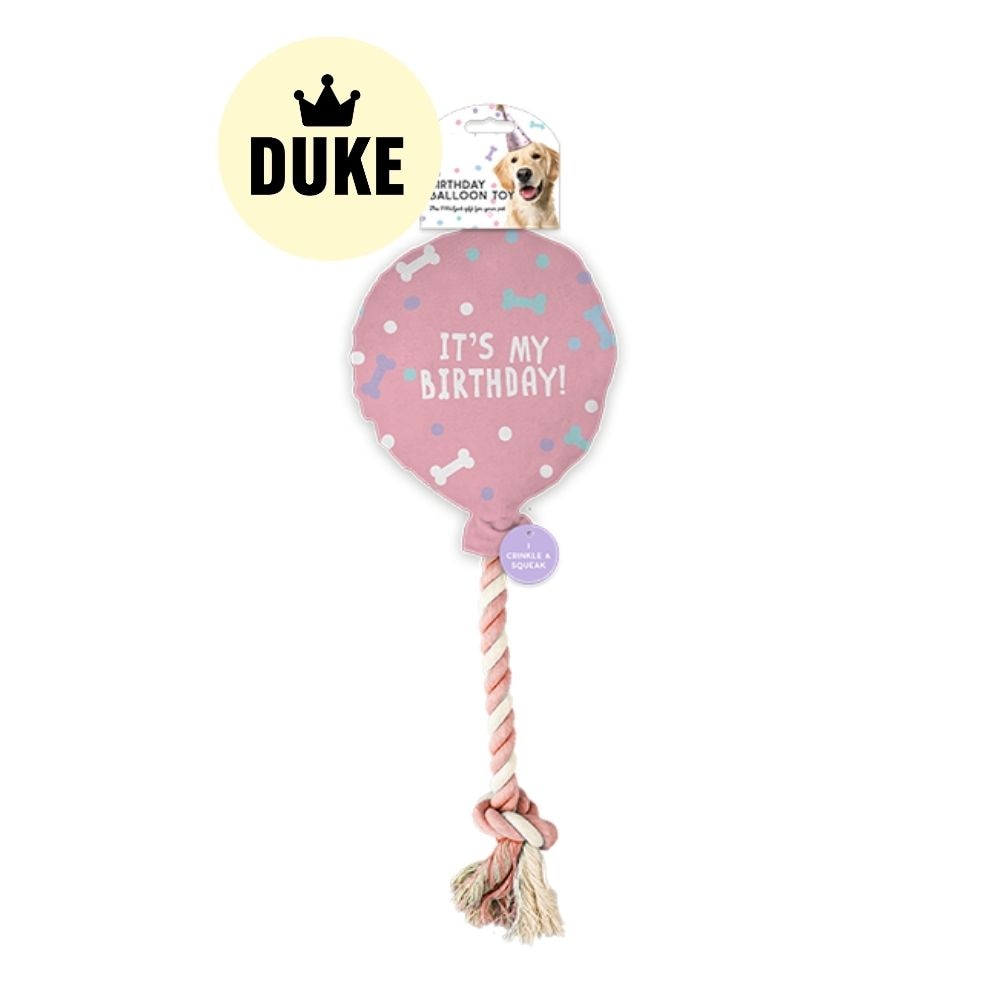 DUKE Birthday Balloon Pet Toy