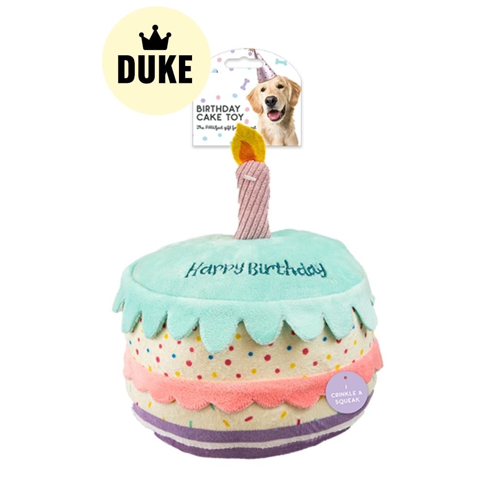 DUKE Birthday Cake Pet Toy
