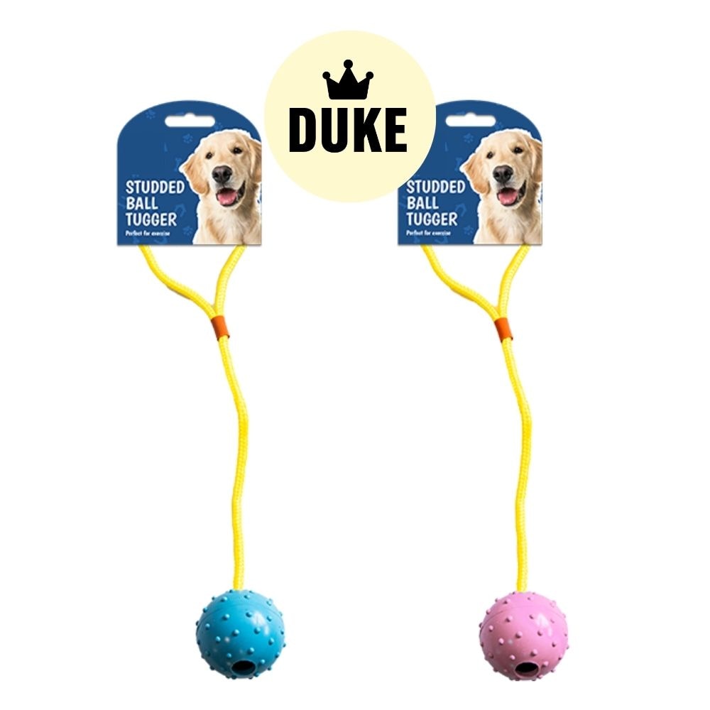 DUKE Dog Pull & Tug Toy