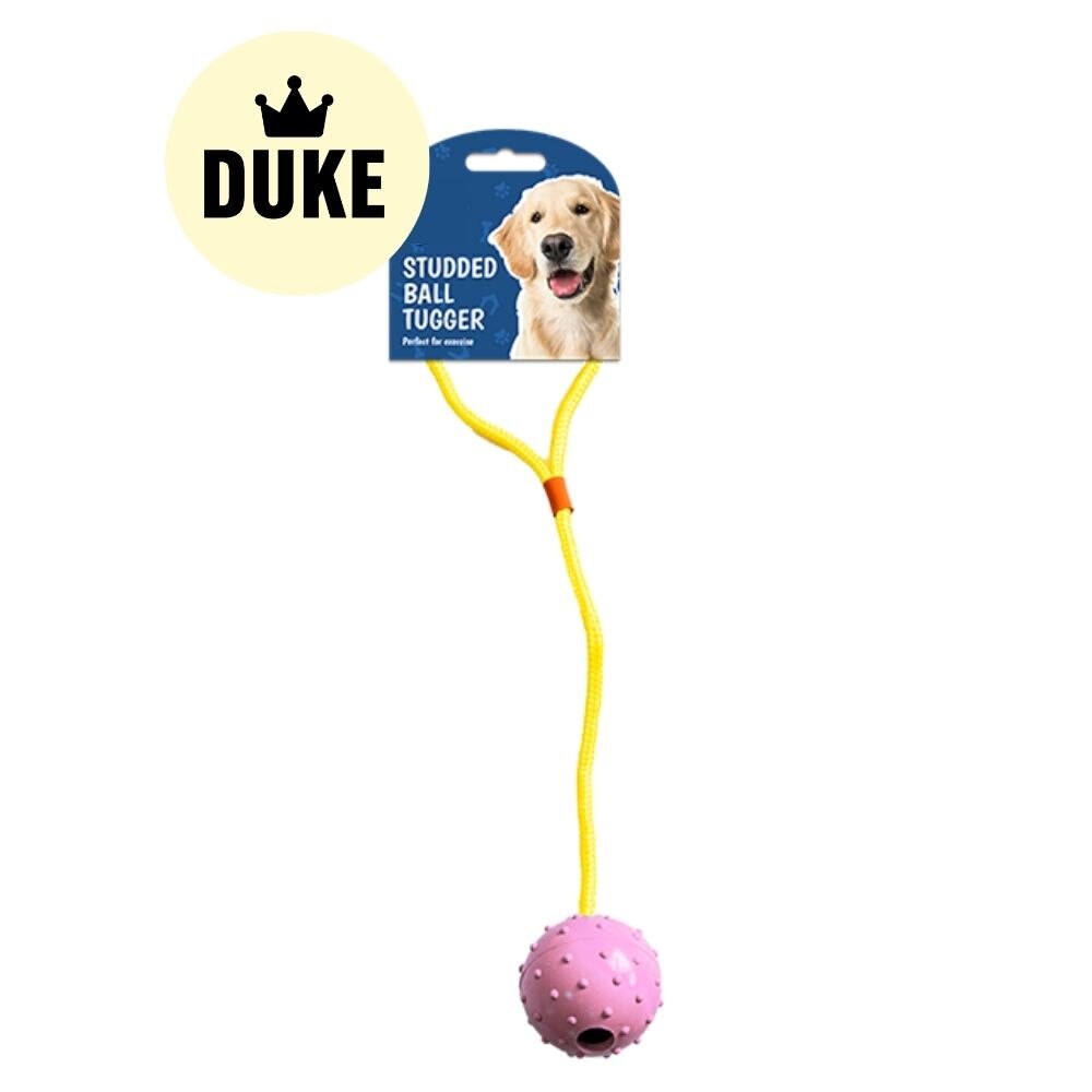 DUKE Dog Pull & Tug Toy