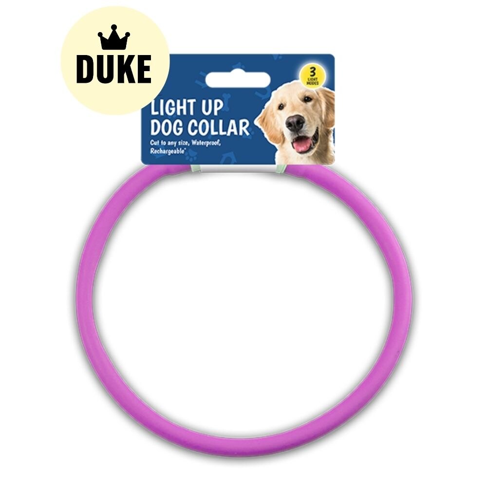 DUKE Light Up Dog Collar