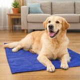 DUKE Pet Cooling Mat 40x60cm