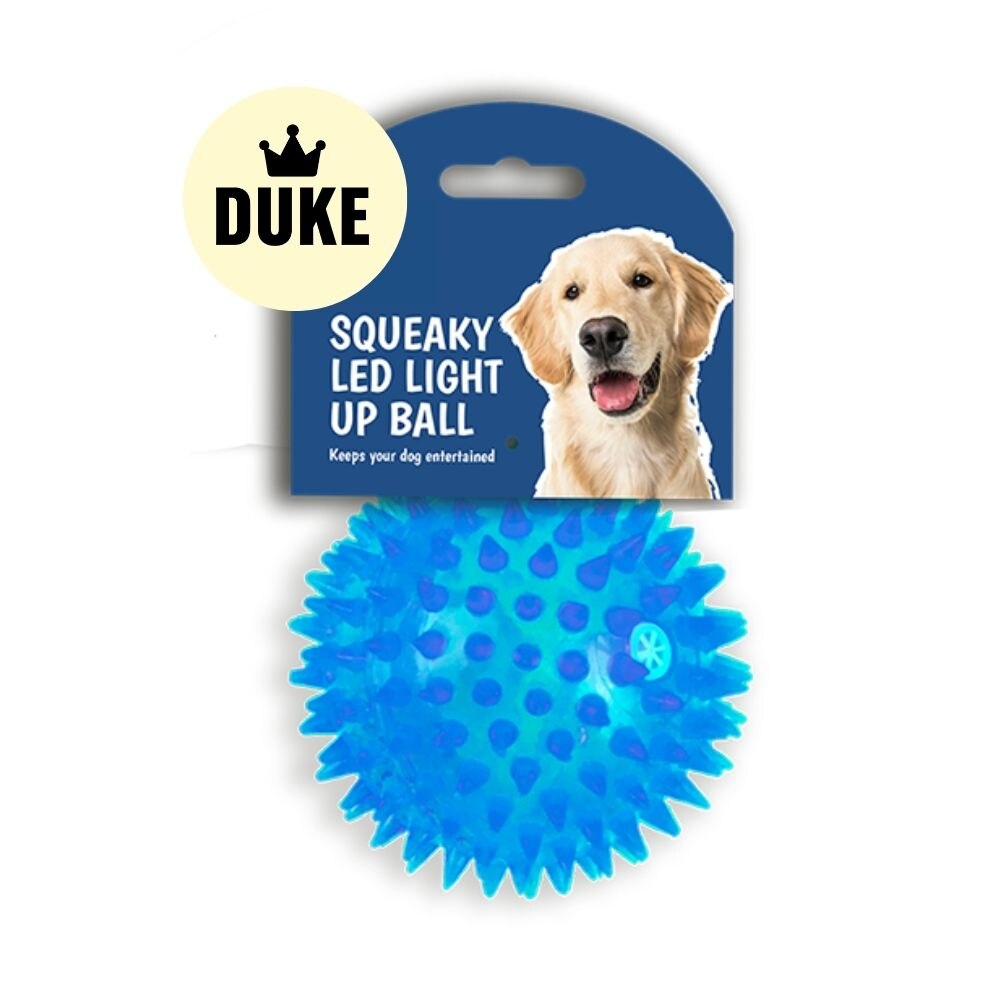 DUKE Squeaky LED Light Up Ball Dog Toy