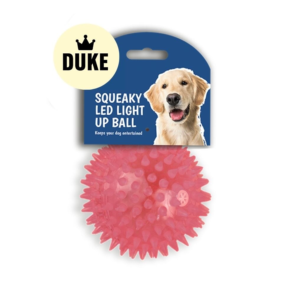 DUKE Squeaky LED Light Up Ball Dog Toy