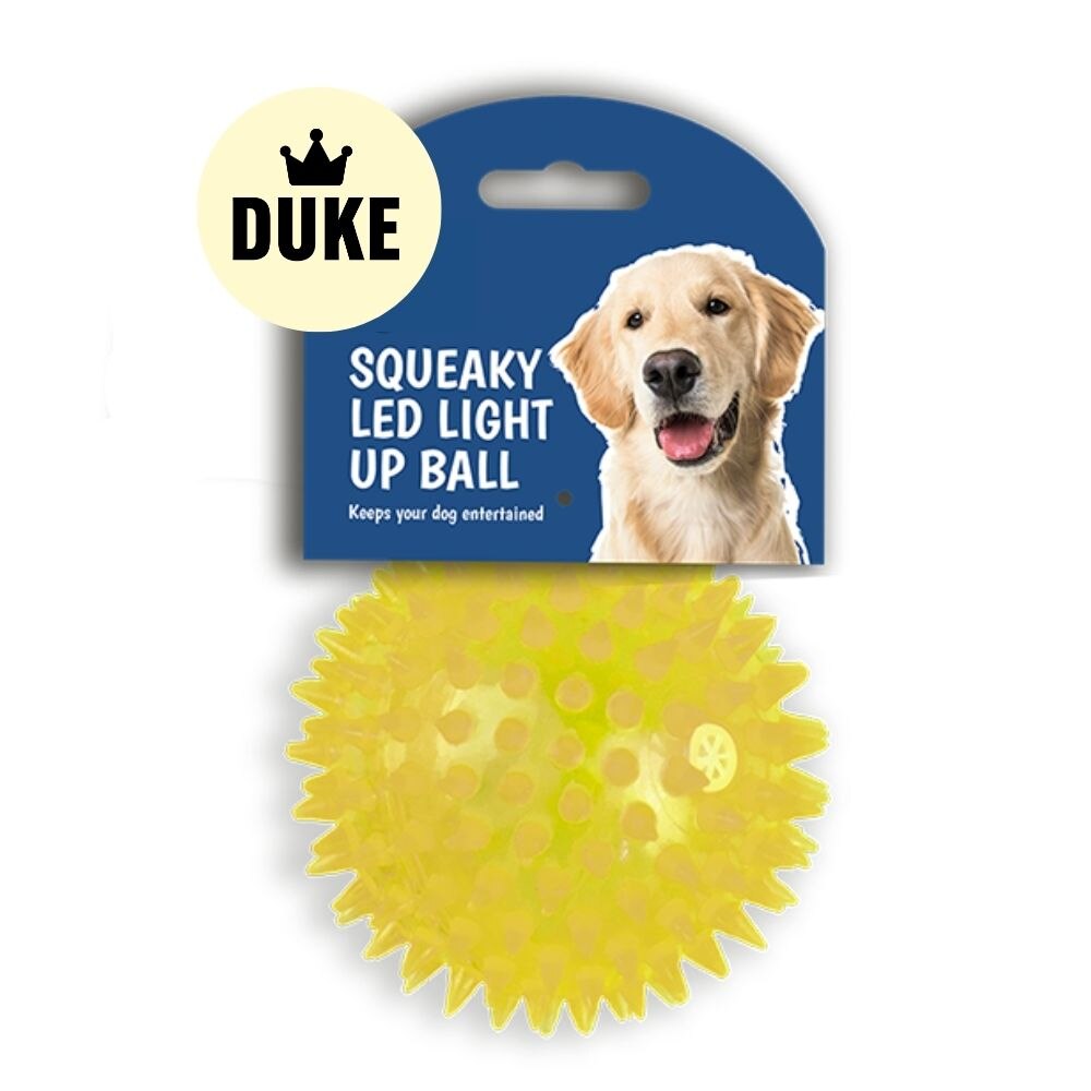 DUKE Squeaky LED Light Up Ball Dog Toy