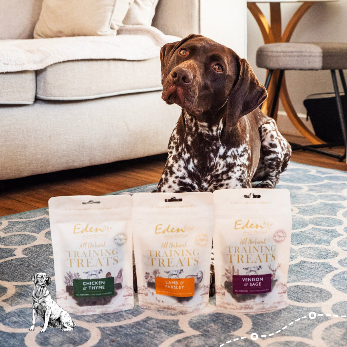 Eden Lamb & Parsley Training Dog Treats - 80g