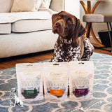 Eden Lamb & Parsley Training Dog Treats - 80g