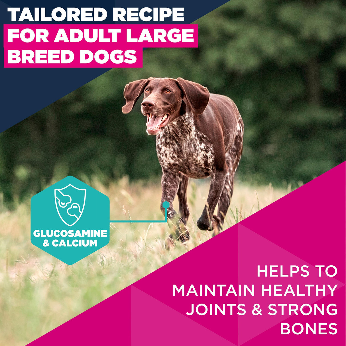 Eukanuba Adult Salmon & Barley Large Breed Dry Dog Food - 12kg