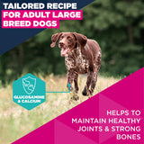 Eukanuba Adult Salmon & Barley Large Breed Dry Dog Food - 12kg
