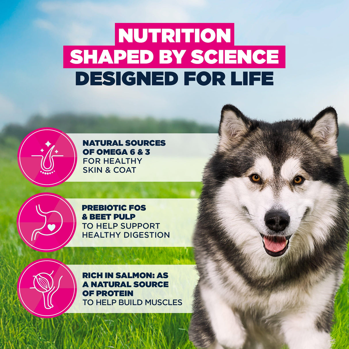 Eukanuba Adult Salmon & Barley Large Breed Dry Dog Food - 12kg