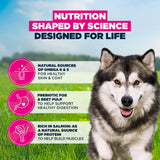 Eukanuba Adult Salmon & Barley Large Breed Dry Dog Food - 12kg
