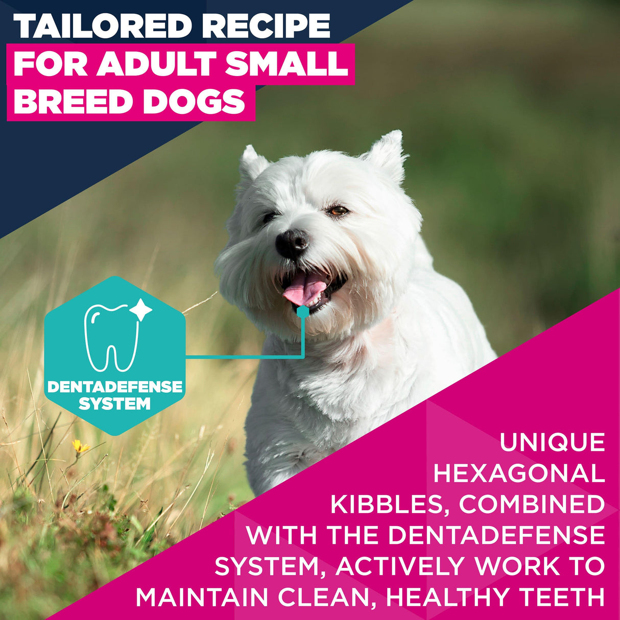 Eukanuba Adult Small Breed Chicken Dry Dog Food -12kg