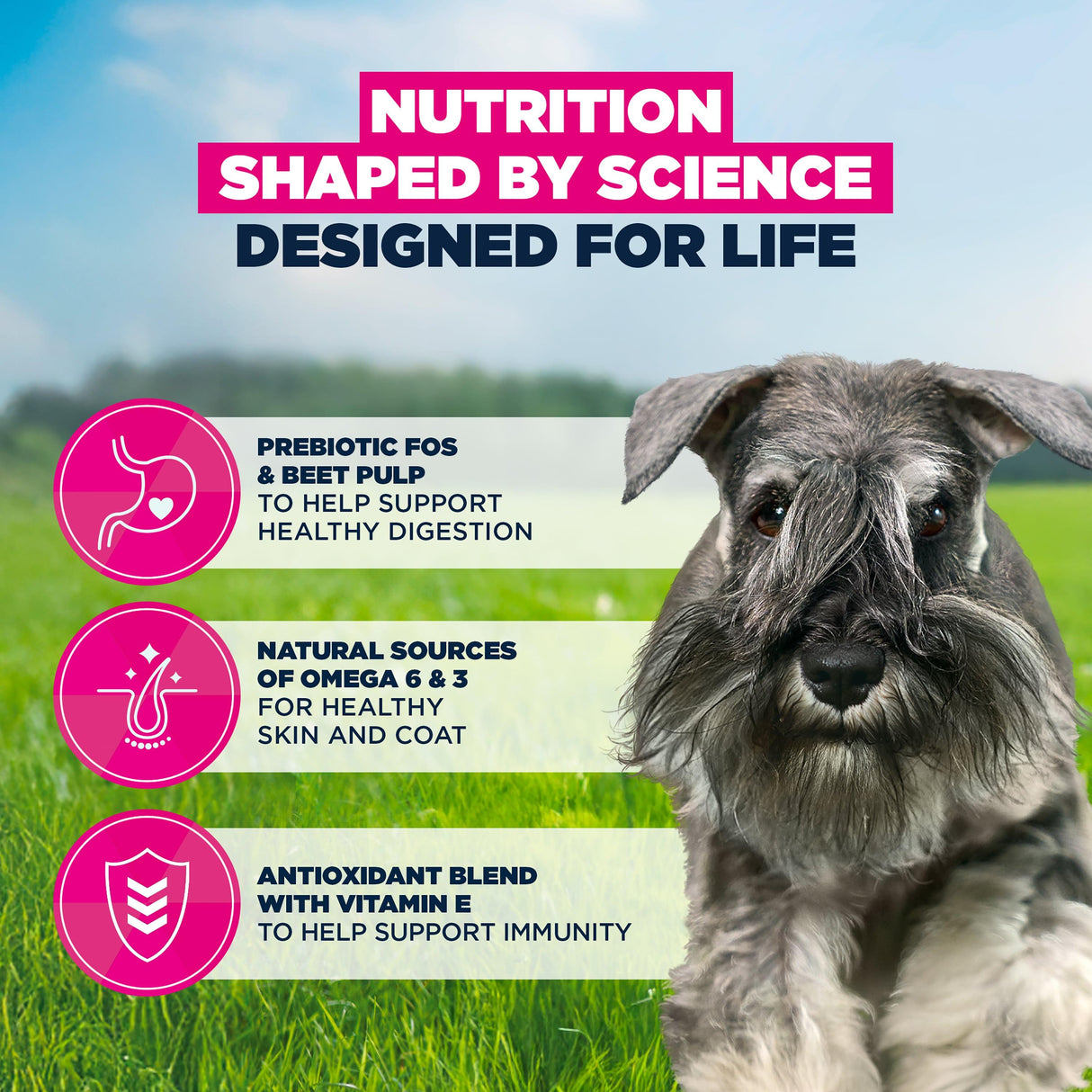 Eukanuba Adult Small Breed Chicken Dry Dog Food -12kg
