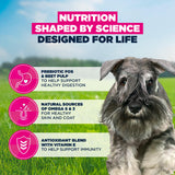 Eukanuba Adult Small Breed Chicken Dry Dog Food -12kg