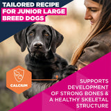 Eukanuba Junior Large Breed Chicken Dog food- 12kg