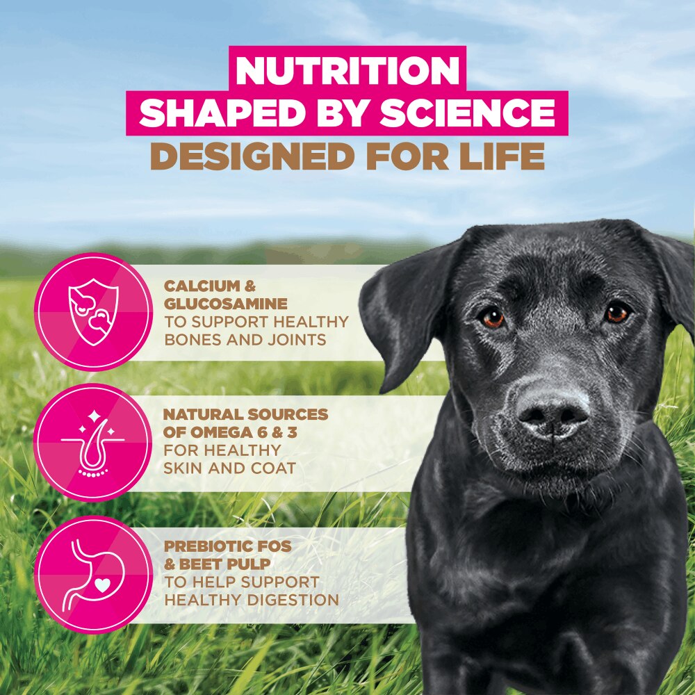 Eukanuba Grain Free Chicken Adult Large Dry Dog Food - 12kg