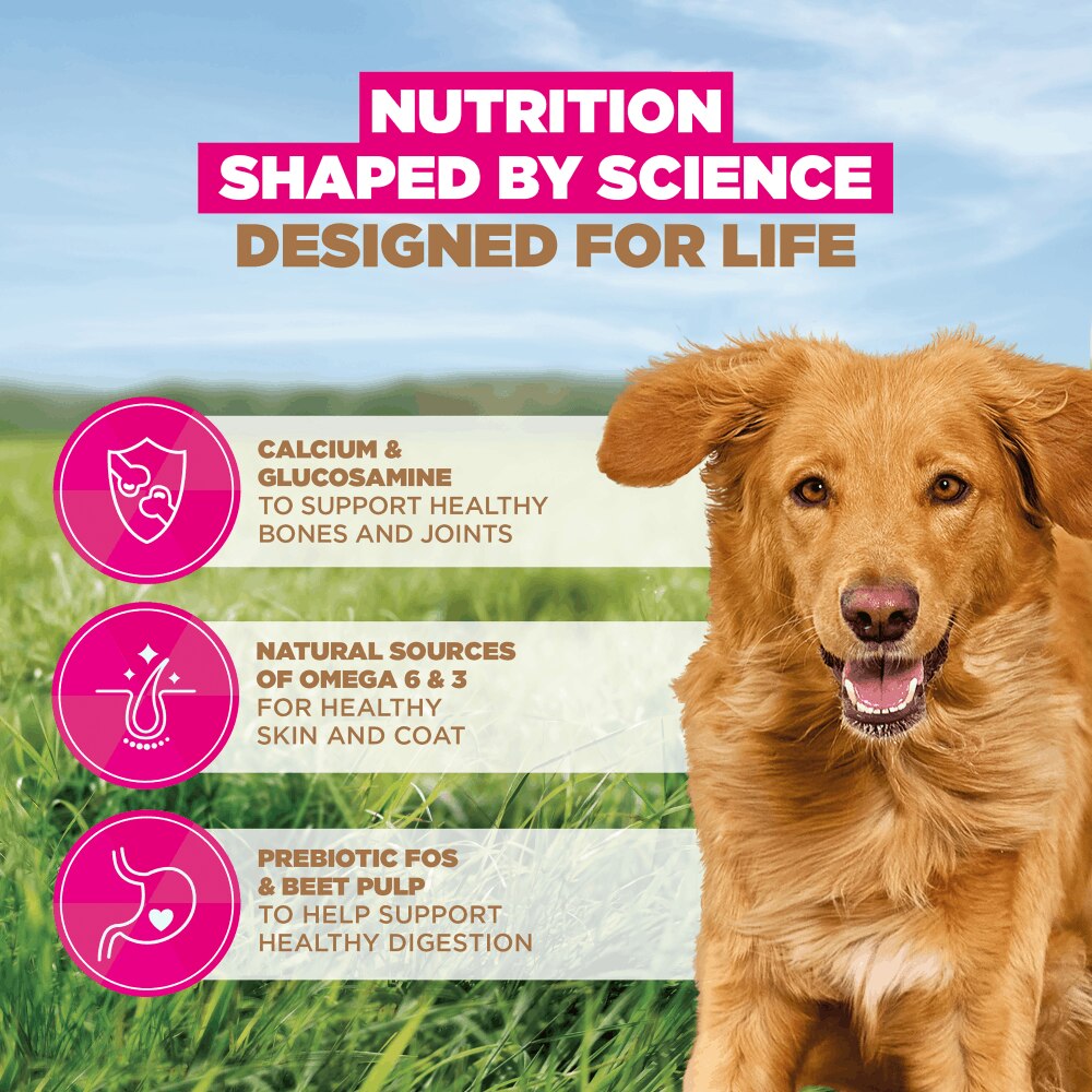 Eukanuba Grain Free Large Adult Dog Lamb Dry Food - 12kg