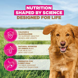 Eukanuba Grain Free Large Adult Dog Lamb Dry Food - 12kg