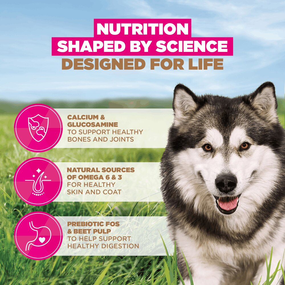 Eukanuba Grain Free Large Adult Dog Ocean Fish Dry Food - 3kg