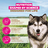 Eukanuba Grain Free Large Adult Dog Ocean Fish Dry Food - 3kg