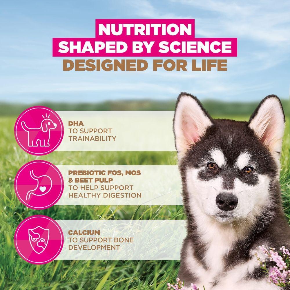 Eukanuba Grain Free Large Puppy Ocean Fish Dry Food - 12kg
