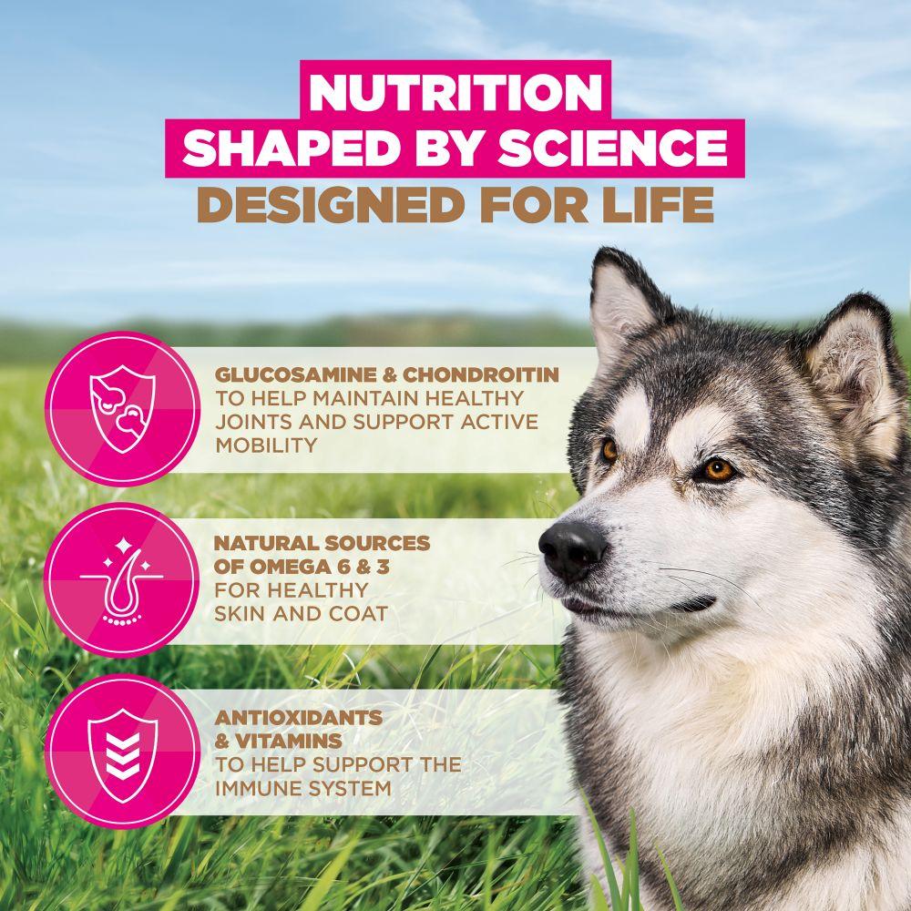 Eukanuba Grain Free Large Senior Dog Ocean Fish Dry Food - 12kg