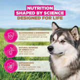 Eukanuba Grain Free Large Senior Dog Ocean Fish Dry Food - 12kg
